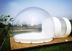 南京这个小镇太美，我想在此荒废整个春天